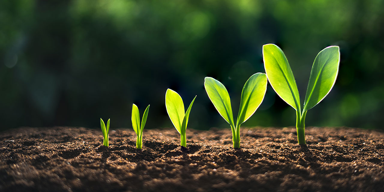 ¿CUÁLES SON LAS CLAVES PARA QUE TU EMPRESA PUEDA CRECER?